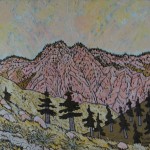 596. McDonald Trail #1 8/14