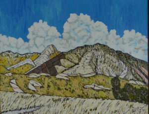 851. Whitaker Ridge Trail 2/19