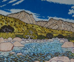 945. Sespe Coltrell Flat 6/20