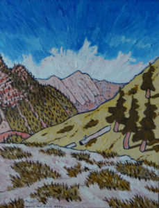584 White Mt Ridge Trail 6/14